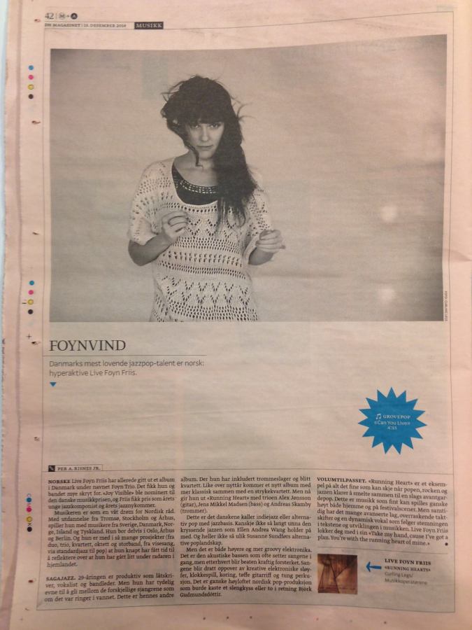 Live Foyn Friis Dagens Næringsliv